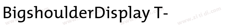 BigshoulderDisplay T字体转换